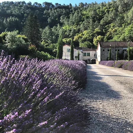 Chateau Du Fraissinet, 6 Sleeping 2-8 Guests, Pool And River On Site Tatil Evi Le Fraissinet